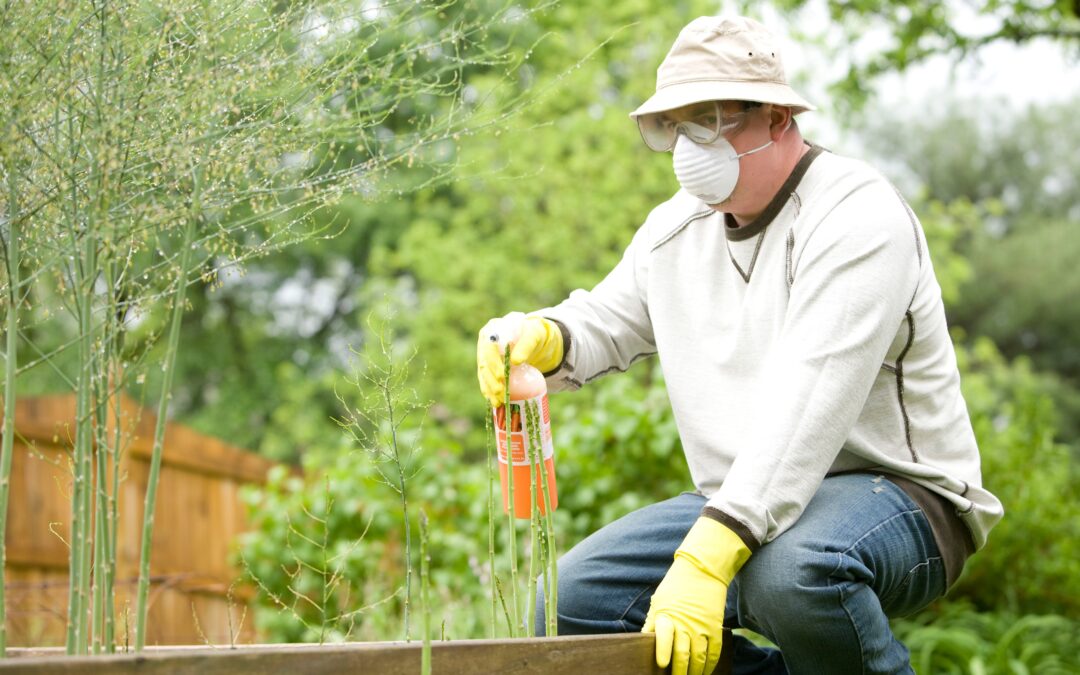 Effective Strategies for Controlling Garden Pests