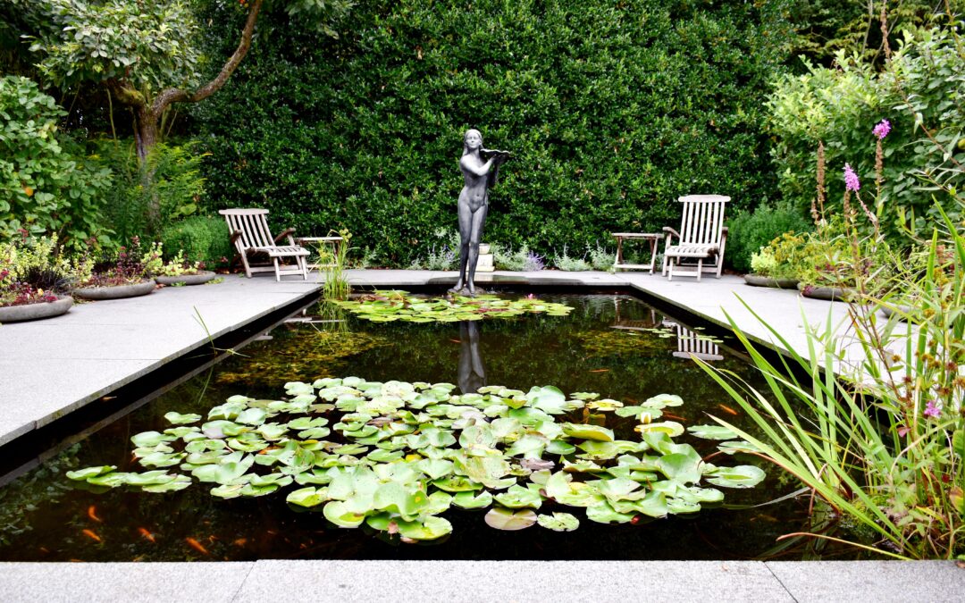 Creating Tranquility and Life: The Benefits of Adding Ponds to Your Garden